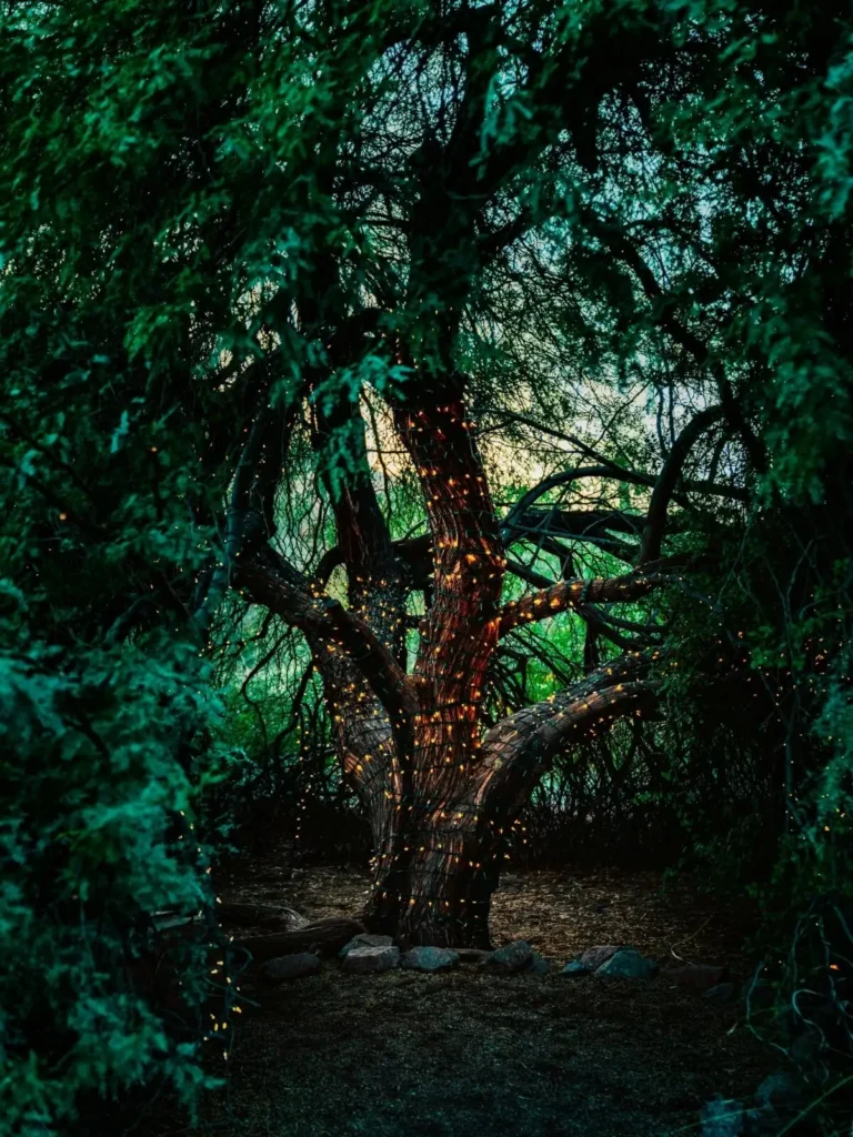 Arbre majestueux baigné de lumière, illustration onirique pour la mise en avant des événements de Je(u) Rêve à Brest, le café de l'imaginaire à Brest, lieu unique et chaleureux dédié au jeu et à l'univers féérique