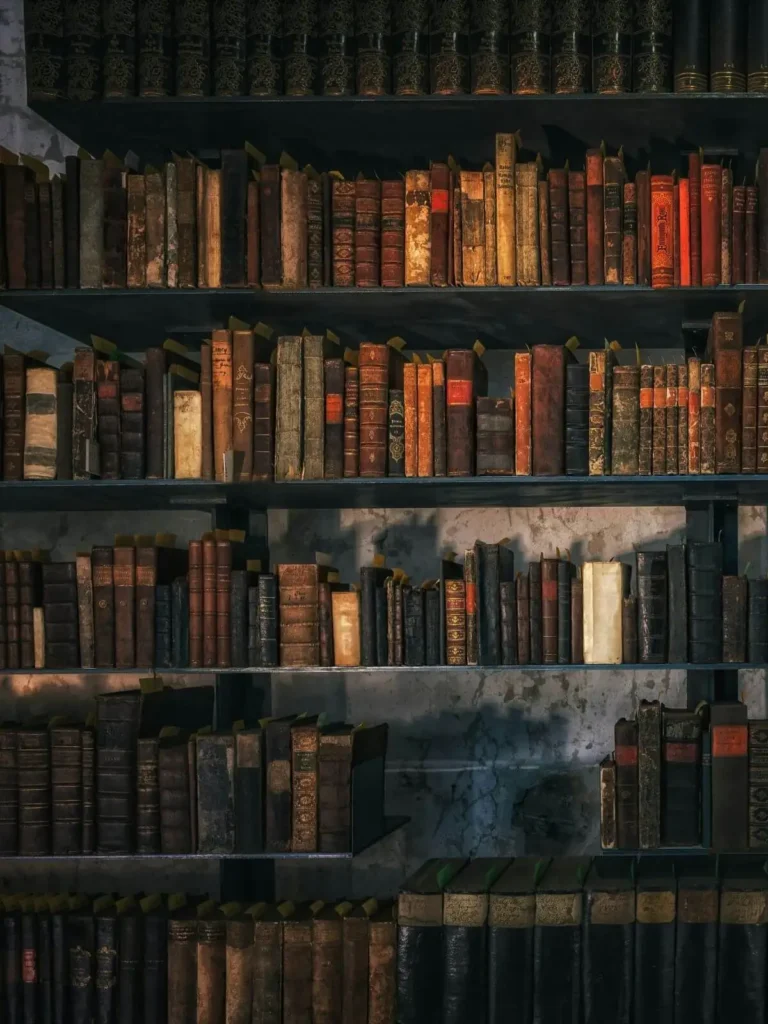 Rayonnages de livres anciens et modernes, bibliothèque inspirant la découverte de la littérature fantasy, gothique et science-fiction librairie je(u) rêve, café de l'imaginaire