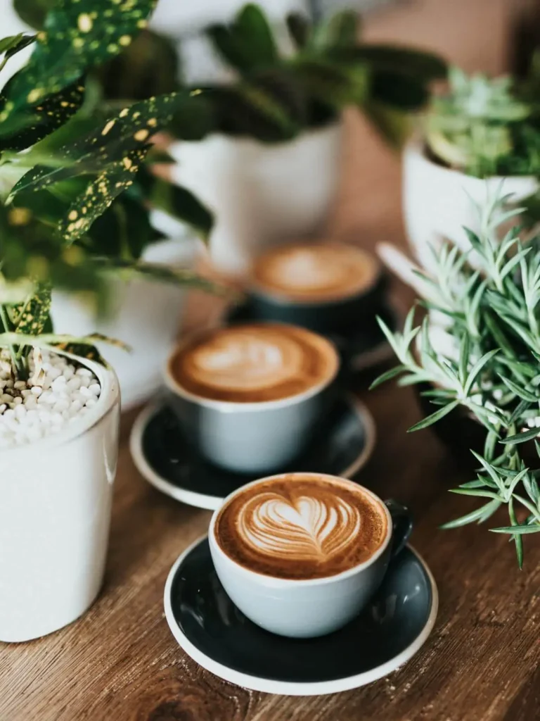Tasses de café brûlerie du Léon sur un comptoir en bois, sélection de boissons chaudes originales au café de l'imaginaire Je(u) Rêve à Brest, librairie et boutique de jeux