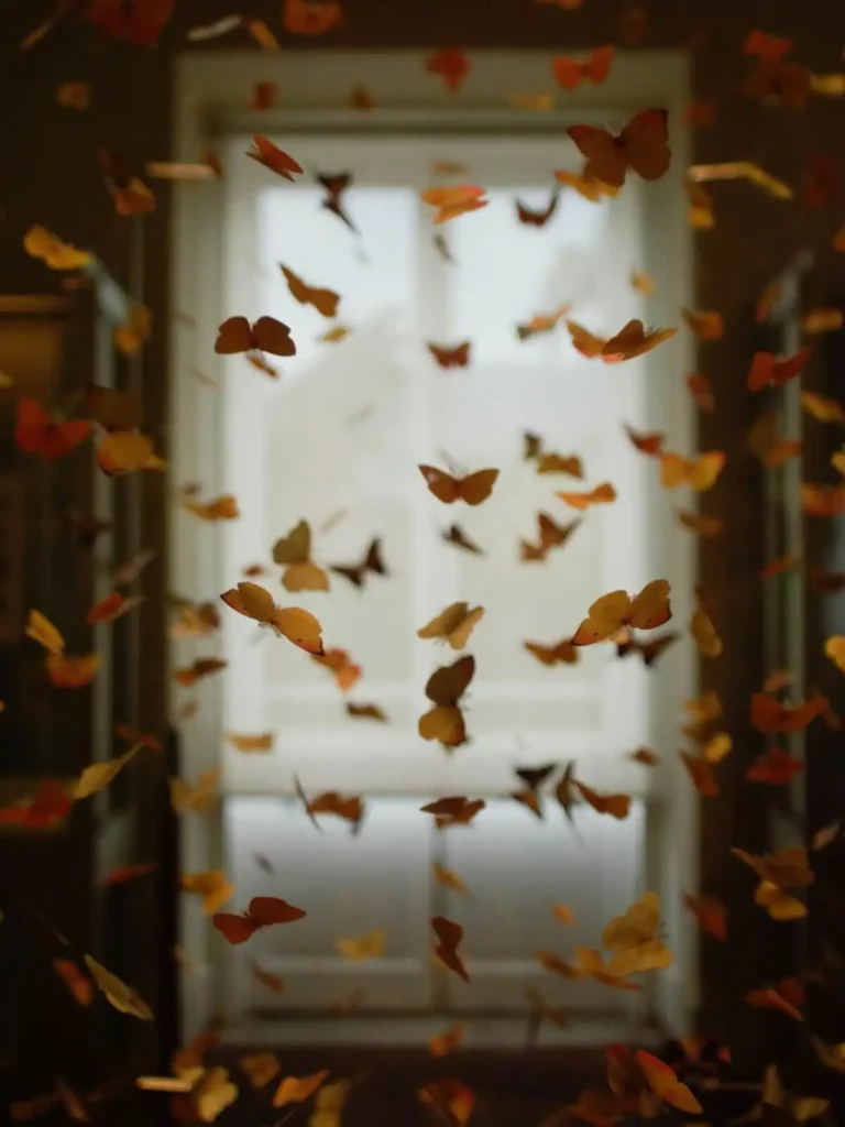 Fenêtre décorée de papillons orangés, installation artistique lors d’un événement spécial chez Je(u) Rêve à Brest, café de l'imaginaire à Brest, lieu original dédié à la culture de l'imaginaire, salon de thé librairie